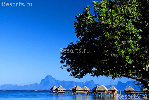 Le Meridien Tahiti 3